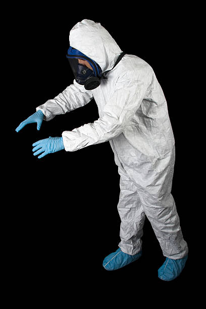 Best Black Mold Removal  in Crystal City, MO